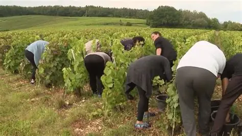 Italie : Recrutement des travailleurs non-européens 2026 – Décret Flussi, quotas et secteurs ouverts